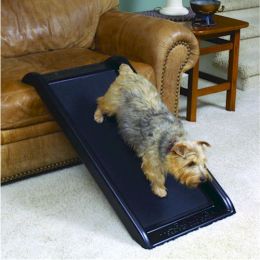 Mr. Herzher's Smart Dog Ramp Jr